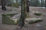 Bolszewo - zniszczony cmentarz ydwoski