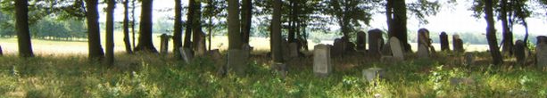 Cieszowa - cmentarz ydowski