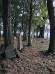 Cmentarz ydowski - nagrobek