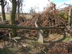 Cieszowa - wiatroomy na cmentarzu ydowskim