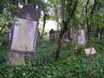 Cmentarz ydowski w Czstochowie Jewish cemetery in Czstochowa