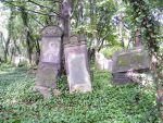 Cmentarz ydowski w Czstochowie Jewish cemetery in Czstochowa