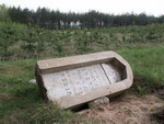 przewrcony nagrobek na cmentarzu ydowskim w Gonidzu