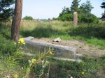 cmentarz ydowski w Grjcu