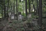Jarosaw - cmentarz ydowski