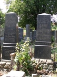 Kodzko - macewy na cmentarzu ydowskim