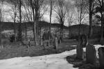 Cmentarz ydowski w abowej Jewish cemetery in Labowa