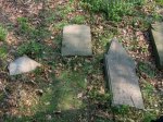 Cmentarz ydowski w Lenicy  Jewish cemetery in Lesnica