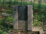 Cmentarz ydowski w Lenicy  Jewish cemetery in Lesnica