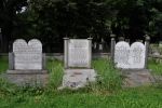 Grb na cmentarzu ydowskim w odzi