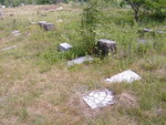 Miasteczko lskie - cmentarz ydowski