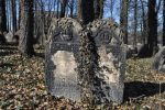 macewa na cmentarzu ydowskim w Mikoowie