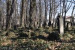 macewa na cmentarzu ydowskim w Mikoowie