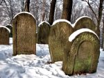 macewy na cmentarzu ydowskim w Nowym Winiczu