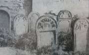 Archiwalne zdjcie wykonane na cmentarzu ydowskim w Opatowie