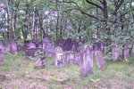 Cmentarz ydowski w Pabianicach
