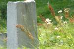 Pobiedziska - macewy na cmentarzu ydowskim
