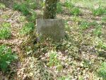 cmentarz ydowski w Raszkowie