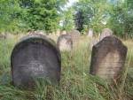 Nowy cmentarz ydowski w Sokoowie Maopolskim