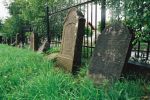 Strzyw - macewa na cmentarzu ydowskim