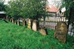 Strzyw - macewa na cmentarzu ydowskim