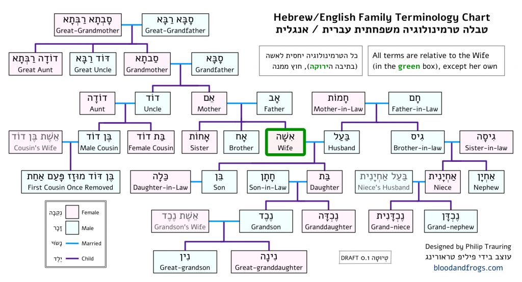 hebrew-family-and-genealogy-terms-b-f-jewish-genealogy-and-more