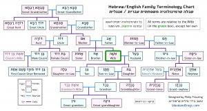 Hebrew Family And Genealogy Terms - B&F: Jewish Genealogy And More