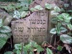 Bychawa - cmentarz żydowski