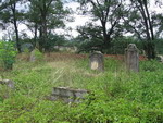 cmentarz żydowski w Byczynie - Biskupicach