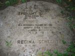 pozostaoci cmentarza ydowskiego w Czechowicach Dziedzicach