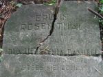 pozostało¶ci cmentarza żydowskiego w Czechowicach Dziedzicach