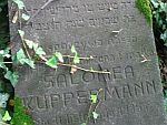 pozostało¶ci cmentarza żydowskiego w Czechowicach Dziedzicach