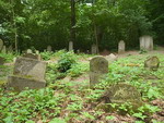 cmentarz ydowski w Debrznie