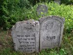 Macewy na cmentarzu ydowskim w Jzefowie Bigorajskim