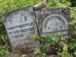 Macewy na cmentarzu żydowskim w Józefowie Biłgorajskim
