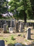 Kłodzko - cmentarz wyznania mojżeszowego