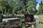 Lublin - nowy cmentarz żydowski
