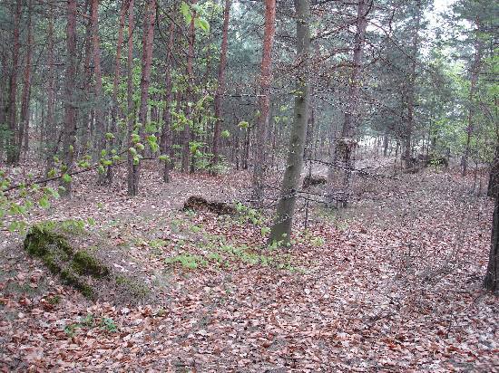 Majdan Krlewski - cmentarz ydowski