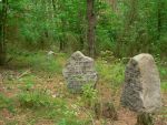 Michaowo - macewy na cmentarzu ydowskim