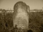 Mszczonw - cmentarz ydowski