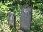 Macewy na cmentarzu ydowskim w Niezdrowicach