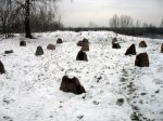cmentarz ydowski w Nowogrodzie