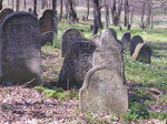 Nowy Wi¶nicz - cmentarz żydowski