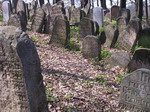 Nowy Wi¶nicz - cmentarz żydowski