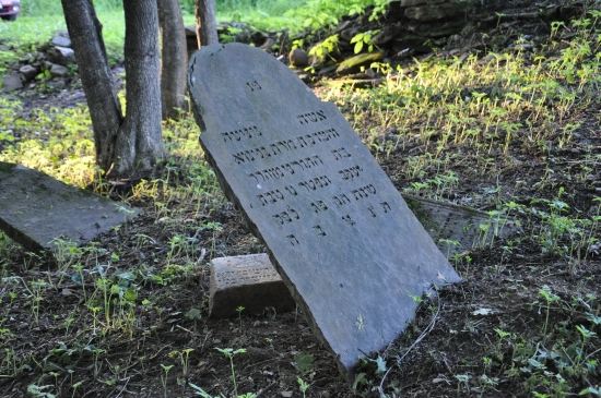 Nowy migrd - cmentarz ydowski- Jewish cemetery in Nowy Zmigrod