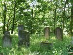 cmentarz ydowski w Olesnie