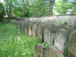 cmentarz ydowski w Ostrowcu witokrzyskim