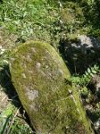 nagrobek na cmentarzu ydowskim w Podwilku