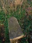 nagrobek na cmentarzu ydowskim w Podwilku