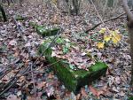 cmentarz ydowski w lesinie